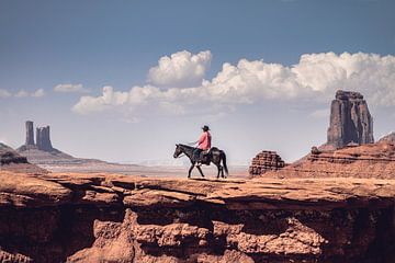 Navajo at John Ford's Point van Marco de Waal