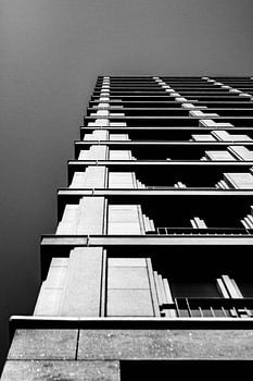 Shot of architecture in black and white