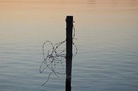 Pole with barbed wire in coloured water by Geert Visser thumbnail