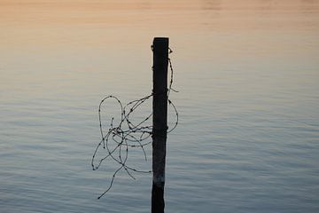 Paal met prikkeldraad in gekleurd water van Geert Visser