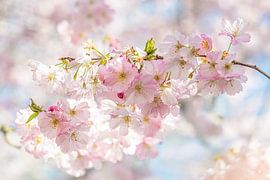 Spring in the home by Melien Suranno