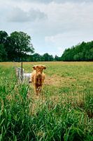 Stille Wacht – Im Einklang mit der Weite