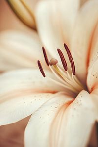 Blume in Nahaufnahme