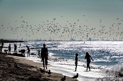 Het strand