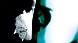 Floral 01 von IDBYDAAN - ART