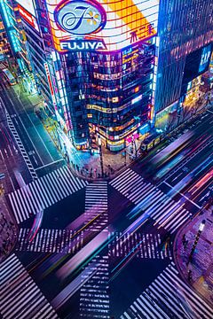 Tokio neon nights van Angelique van Esch