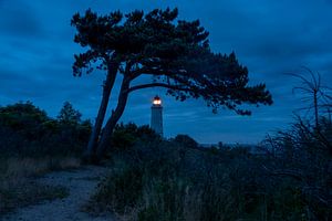 Der Leuchtturm am Dornbusch zur blauen Stunde.  von Stephan Schulz