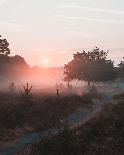 Een zomerse zonsopgang