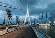 Rotterdam – De stad die nooit stilstaat van David Pronk thumbnail
