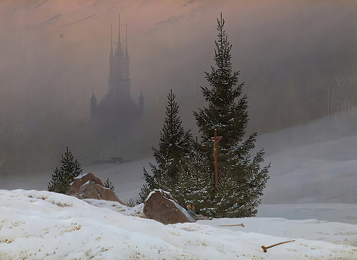 Pines in Winter Fog