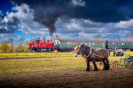 Horsepower in Zeeland by Fotografie in Zeeland