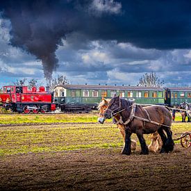 Pferdestärken in Zeeland von Fotografie in Zeeland
