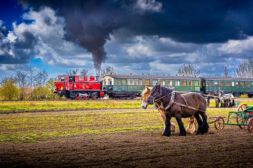 Paardenkracht in het Zeeuwse