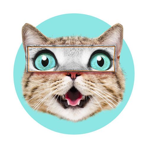 From the Collection of Silly Cats – Part II van Marja van den Hurk