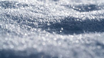 Sneeuwkristallen in close-up van Koen Leerink