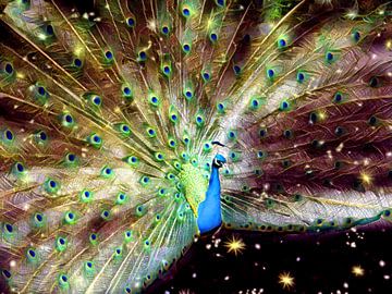 Universal Peacock by Greta Lipman