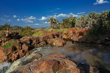 Epupa Falls in Namibië van Alex Neumayer