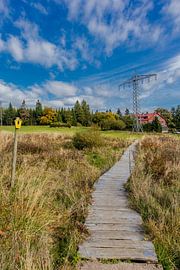 Herbstwanderung durch den Thüringer Wald von Oliver Hlavaty