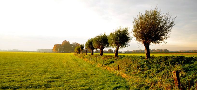 Polder bij Steenderen von Pieter Veninga