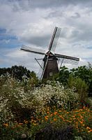 Zwiepse windmolen