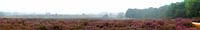Panorama mokerheide van Lex Schulte thumbnail