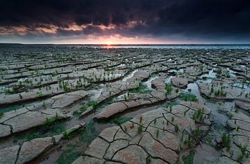 Earth and water von Olha Rohulya