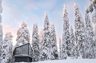 Glasiglo in besneeuwd bos | reisfotografie print | Ruka, Lapland, Finland van Kimberley Jekel thumbnail