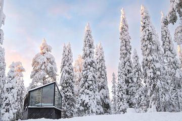 Glasiglo in besneeuwd bos | reisfotografie print | Ruka, Lapland, Finland van Kimberley Jekel