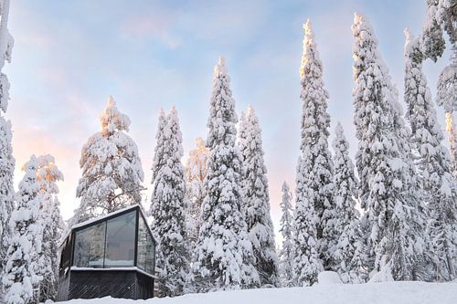 Glasiglo in besneeuwd bos | reisfotografie print | Ruka, Lapland, Finland