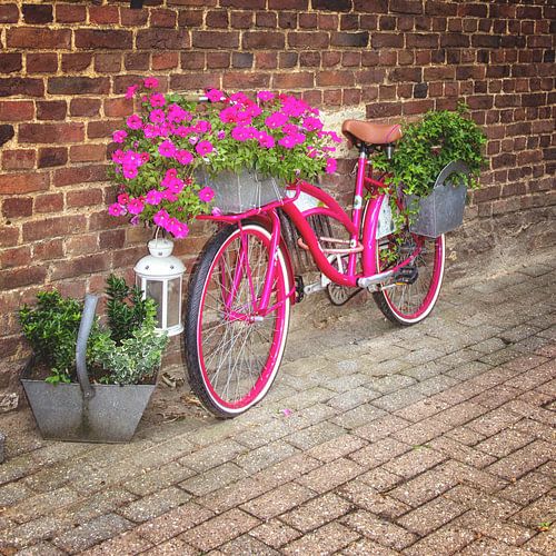 Vélo fleur rose