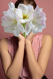 Flower girl amaryllis