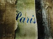 Paris by sophie etchart thumbnail
