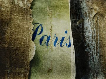 Paris van sophie etchart