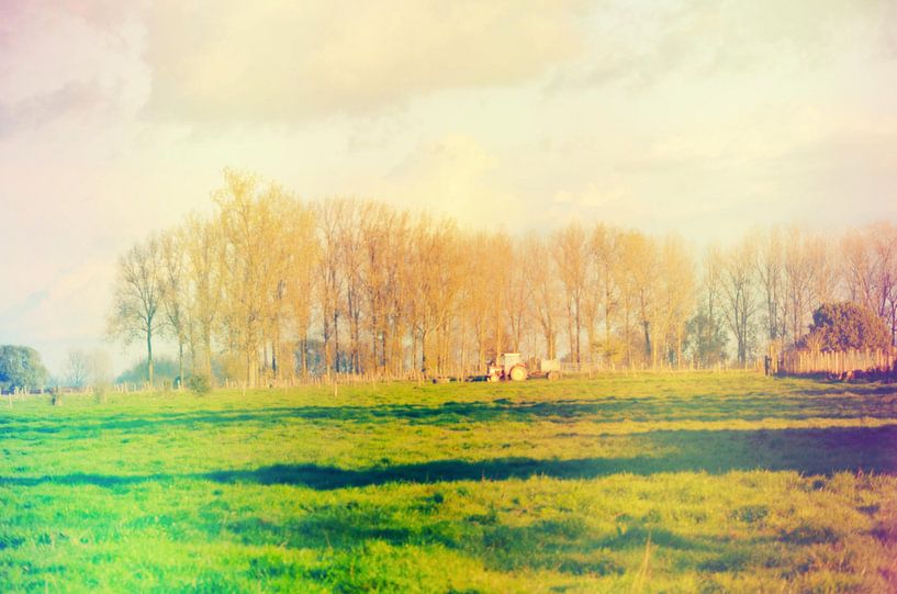 Landschap by Jolien De Vulder
