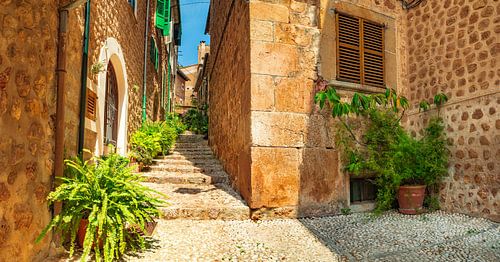 Plant straat panorama in oud dorp Fornalutx, Mallorca