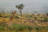 Giraffe op de savanne  van Geke Woudstra thumbnail