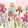 Iris bloemen kleurrijk van Geertje Burgers