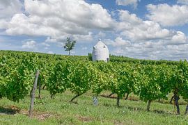 Trullo im Weinanbaugebiet Rheinhessen von Peter Eckert