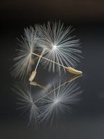 Blowing in the wind
