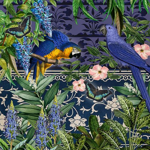 Blauw uur met blauwe papegaaien