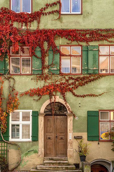 Wilde Wingert van Lars van de Goor