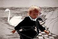 Swanlake van True Color Stories thumbnail