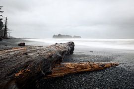 Rialto Beach by swc07