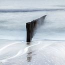 Terre salée - Poleheads par Ingrid Van Damme fotografie Aperçu