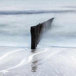 Terre salée - Poleheads