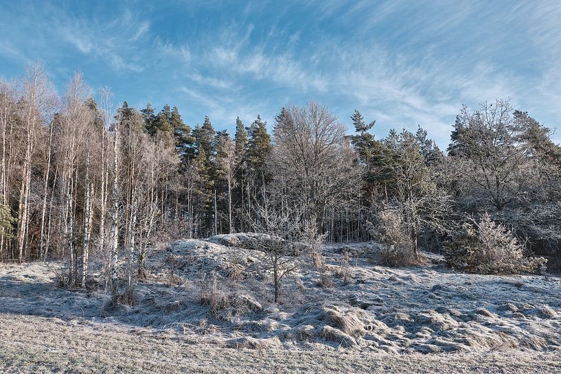 Sweden landscape 200 by Geertjan Plooijer