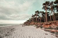 Weststrand Ahrenshoop