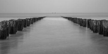 Beach Domburg with breakwaters in black and white - 1 by Tux Photography