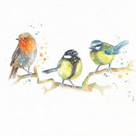 Vogels in aquarel van Atelier DT