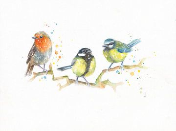 Vogels in aquarel van Atelier DT